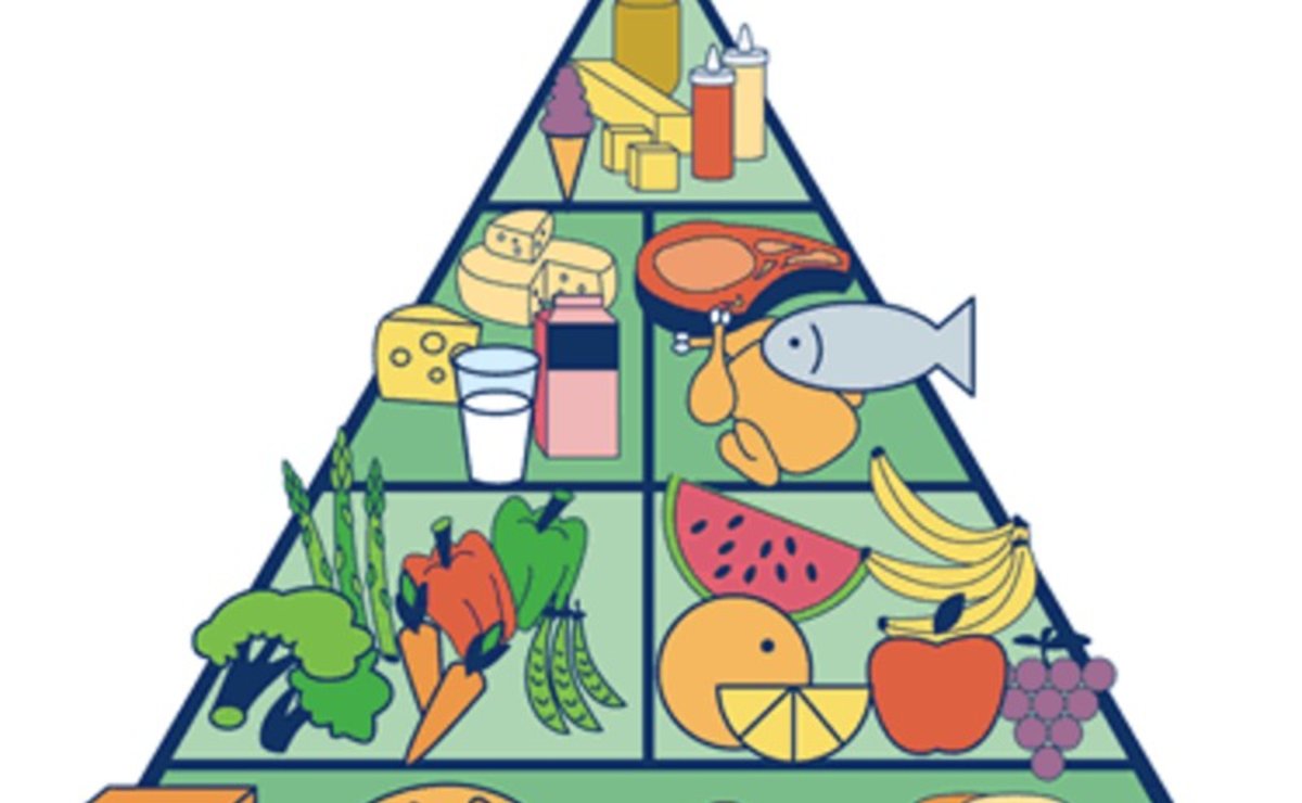 Diferencias entre el Plato de Harvard y la Piramide Alimentaria
