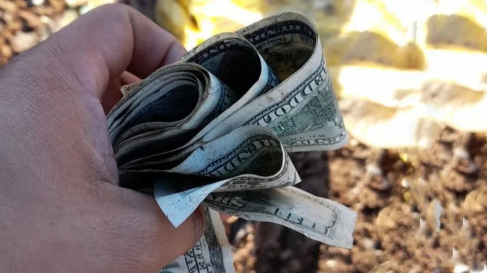 Fiebre verde: invaden un basural en el que aparecieron dólares en Las  Parejas | Punto Biz
