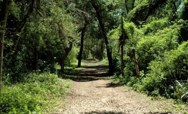 Nativas La Empresa Rosarina Que Invita A “invertir En Naturaleza” Punto Biz 9847